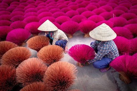 Incense Village Small Group of 9 Tour From Hanoi to Ninh Binh
