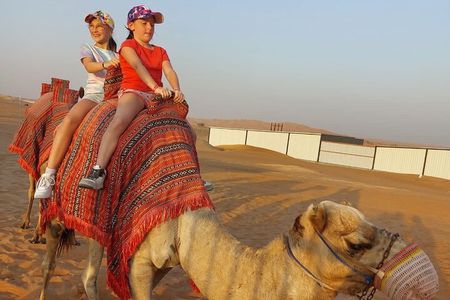 Private Morning Desert Safari with Camel Ride Falcon Photos