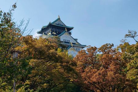 Ultimate Osaka Walking Tour (Castle, Dotonbori) GROUP OR PRIVATE