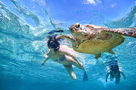  Snorkeling Activity in Okinawa Miyako Japan