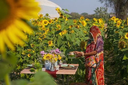 Farm to Table Experience in Jodhpur