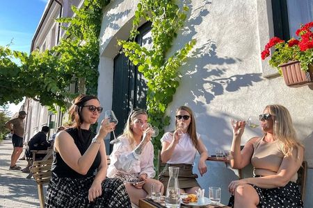 Small Carpathian Wine Tour