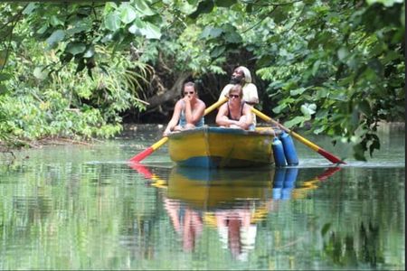 Dominica Indian River Discovery & Beach stop.