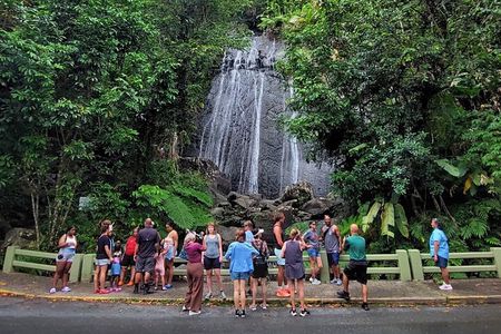 Puerto Rico: El Yunque Sightseeing Half-Day Tour w/Transfer