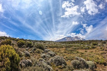 8-Day Hiking Tour Lemosho Route in Tanzania