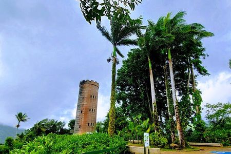 Puerto Rico: El Yunque Sightseeing Half-Day Tour w/Transfer