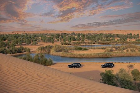 Dubai: Desert Conservation Drive with Breakfast at Al Maha Resort