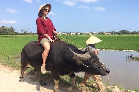 Hoi An Rice Farm Tour and Buffalo Riding with Local Home Meal