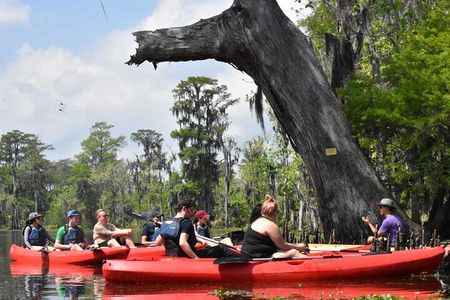 Manchac Swamp EXTENDED Kayak Tour with Pickup