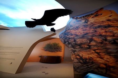 Dubai: Desert Discovery Adventure