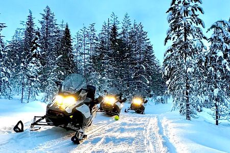 Snowmobile Safari to the Wilderness