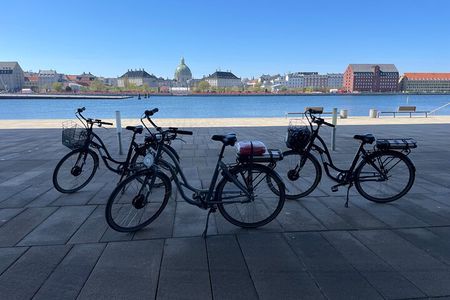 2.5 Hours E-Bike Christmas Tour in Copenhagen