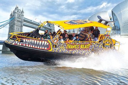 Speedboat 'THE THAMES BEAST' from Tower Millennium Pier - 40 mins