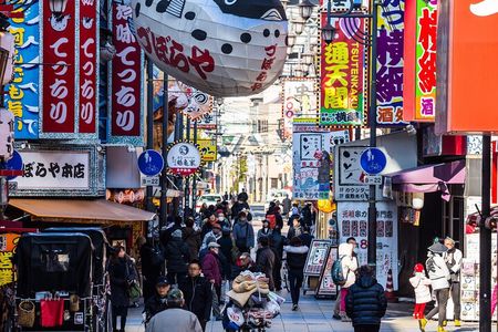 Osaka 8hr Private Tour with Government-Licensed Guide
