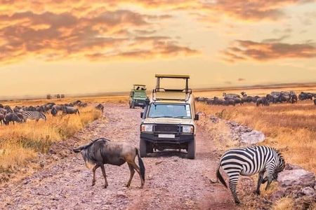 2- Days Tanzania Private (Budget) Safari