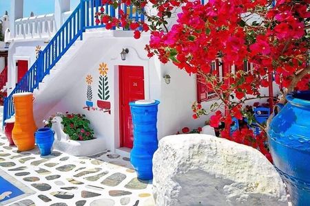 Half Day Mykonos Tour for the First Time Cruise Visitors