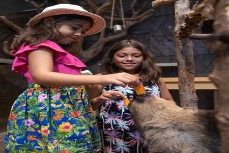 Dubai: Green Planet with Optional Transportation