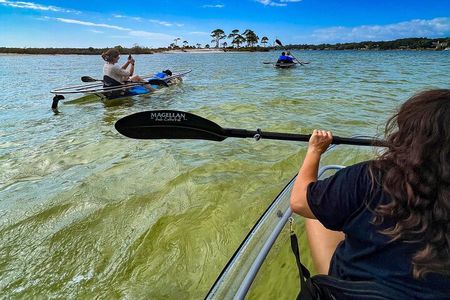 Clear Kayak Ecotour Destin Ft. Walton Beach