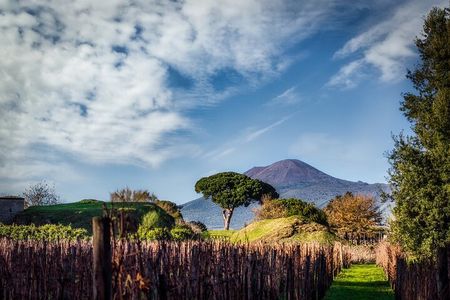 Full-Day Private Pompeii and Vesuvius Wine Tour from Naples