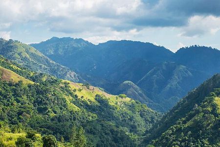 Exotic Blue Mountain Coffee Tour