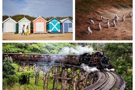 Brighton Bath Boxes & Puffing Billy & Penguin Parade 1-Day Tour