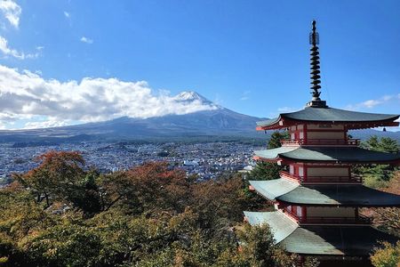 Mount Fuji Full-Day Private Tour from Tokyo (Customizable)