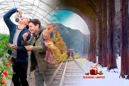 Nami Island, Strawberry Picking & Railbike