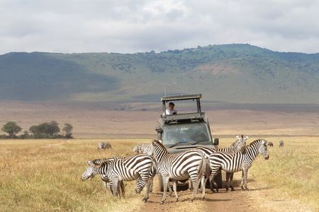 Private 5 Day Tanzania Safari Adventure Tour from Arusha