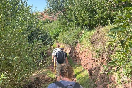 Private Atlas Mountains Day trip from Marrakech
