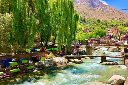 Day Trip from Marrakech Explore the Atlas Mountains and 4 Valleys