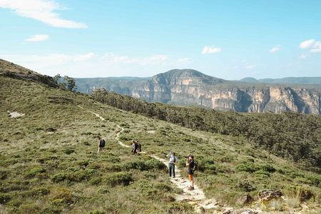 Private Blue Mountains Day Tour | Waterfalls, Koalas & Views 
