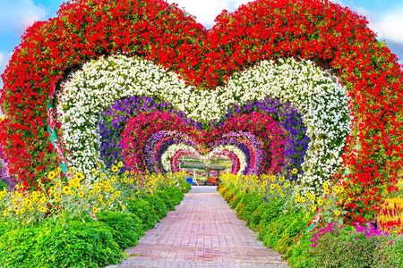 Miracle Garden Tickets and Pass with Pick Up and Drop Off