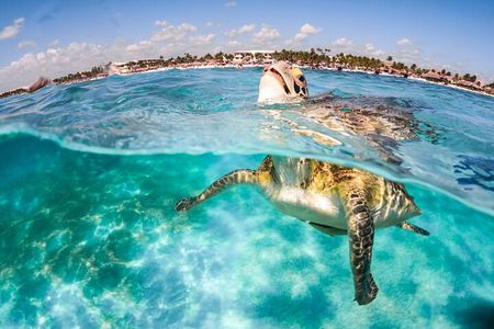 "Private Snorkeling with Turtles and Unforgettable Photos in Akumal"