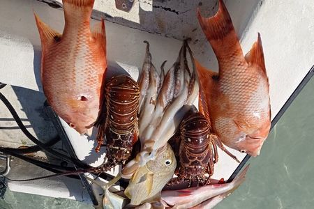 Private Full Day Fishing in Belize Cayes