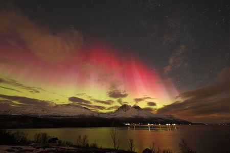 Tromso Aurora Bonfire with Cinnamon Cake and Marshmallow Roast
