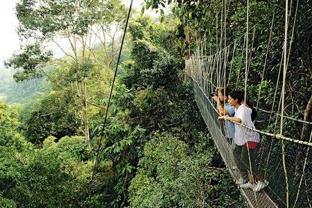 Taman Negara Rainforest Day Tour With Batu Caves Bonus Stop *26*