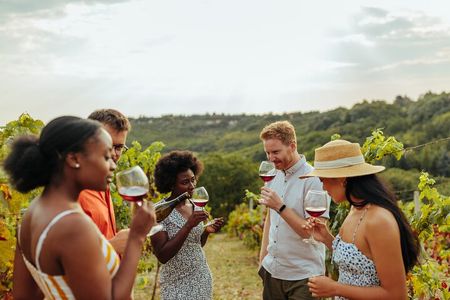 Sip and Savor: Private Yarra Valley Wine Tour from Melbourne