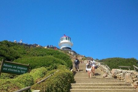 Full Day Private Tour of Cape Peninsula & Boulders Beach