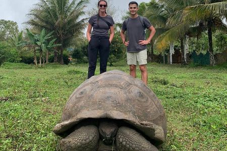 Adventure with Turtles, Lava Tunnels and Los Gemelos Craters