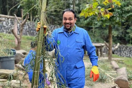 Panda Volunteering Experience at Dujiangyan or Wolong Panda Base
