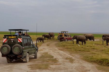 Overnight Private Tour to Amboseli National Park with Pickup