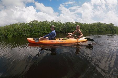 Kayaking in the Mangroves Experience