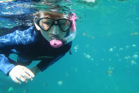 Exclusively Private Snorkel Adventures Training & Tours Ultimate