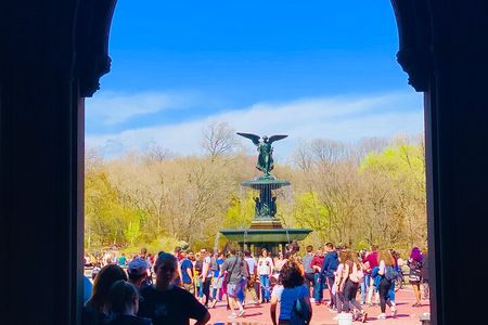 Central Park privet pedicab delux tour -1 hour 
