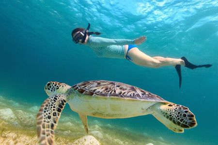 Afternoon Turtle Snorkel Sail from Westin Frenchman's Reef