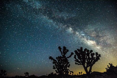 Joshua Tree Sunset & Stargazing Private Tour & Hike