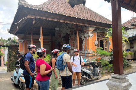 Ubud eBikes Tour to Tegallalang Rice Terrace