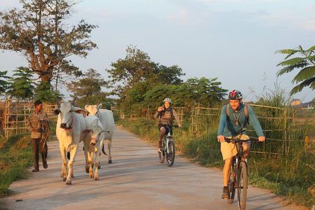 Silk Island at Twilight Cycle Encounter 