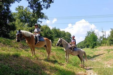 1 hour horseback ride in Valgraziosa Pisa