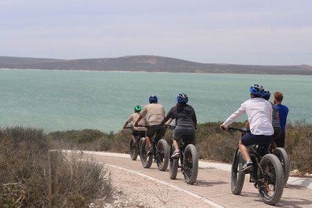 E-Bike Safari West Coast Full Day Tour in Cape Town